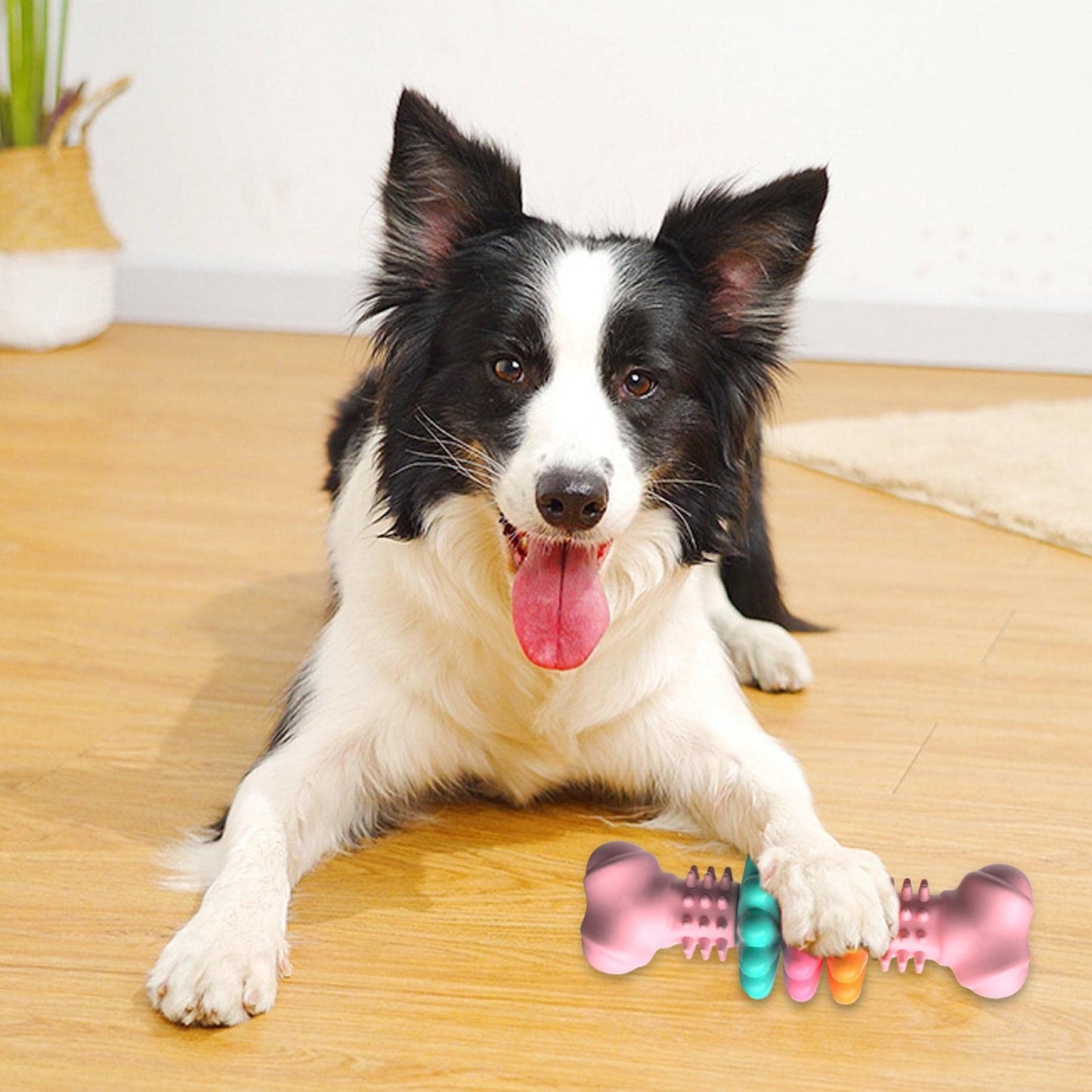  Juguete para masticar para perros Hueso para perros Juguetes para limpiar los dientes de los perros Hueso de TPR indestructible 