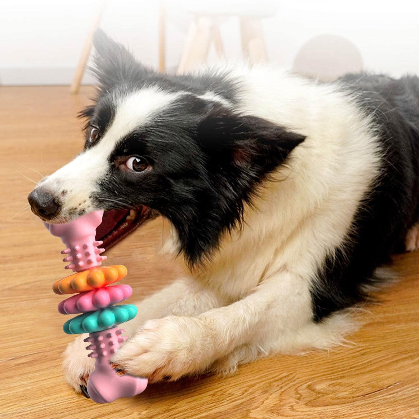  Juguete para masticar para perros Hueso para perros Juguetes para limpiar los dientes de los perros Hueso de TPR indestructible 